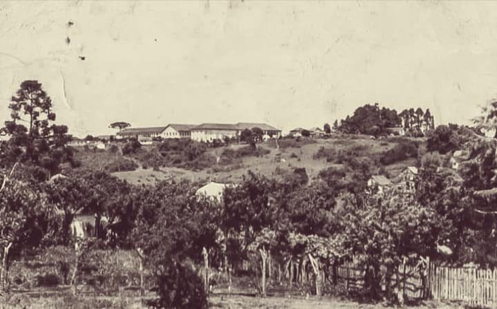 Juvenato Champagnat entre chácaras, anos 1930